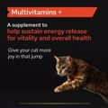 PRO PLAN Sumpliroma Diatrofis Cat Adult Multivitamin Supplement Skoni 60gr